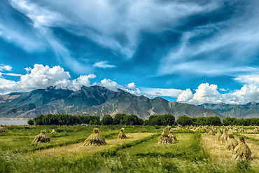 山南地区8_banner