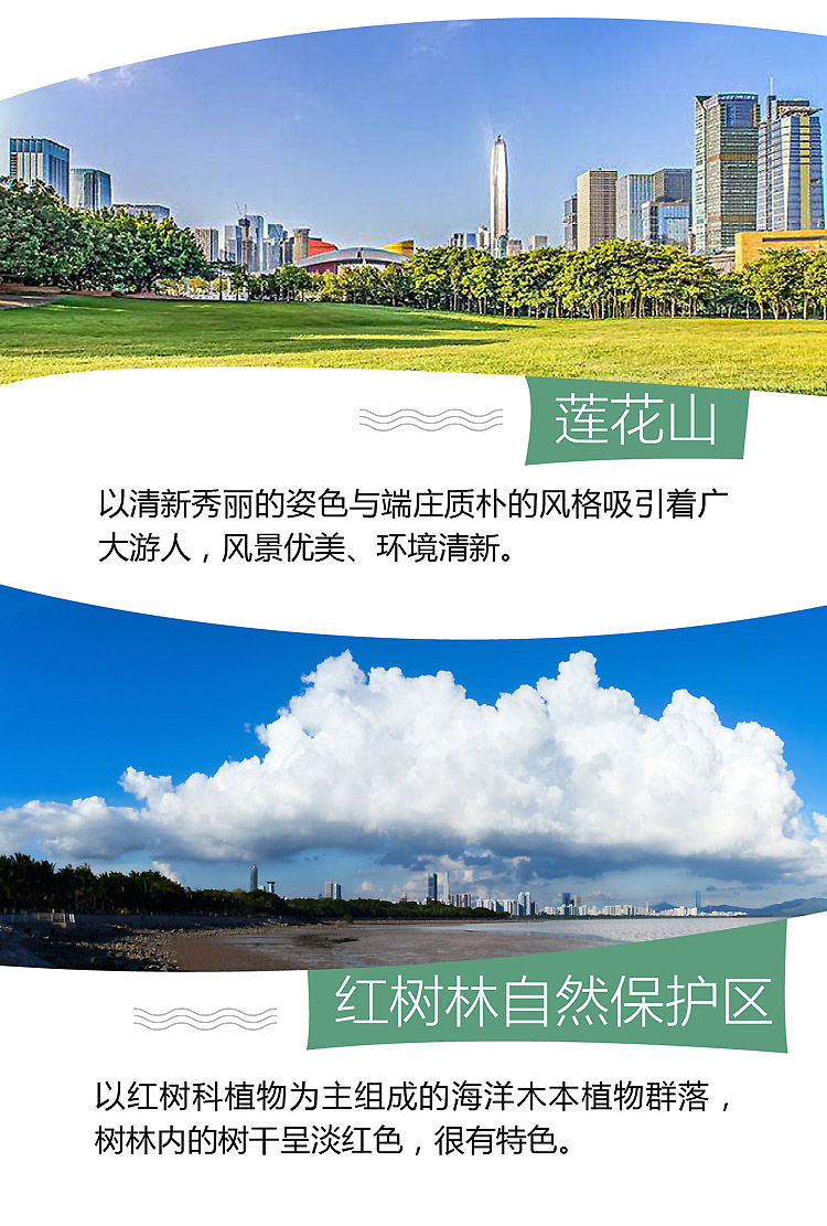 2019-广东-11