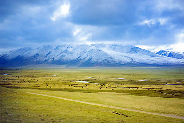 摄图网_500673268_banner_雪山草原（企业商用）