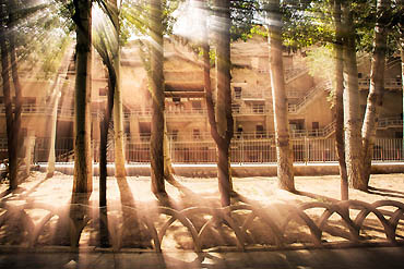 摄图网_500533137_banner_莫高窟的佛光（企业商用）