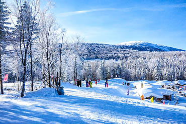 摄图网_501551842_banner_黑龙江雪乡树林奇景（企业商用）