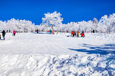 摄图网_501551844_banner_黑龙江雪乡美景（企业商用）