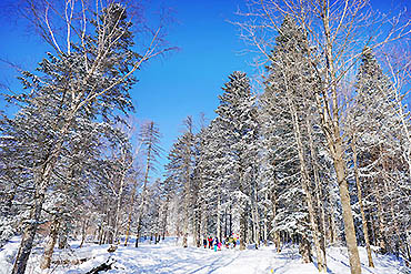 2023-摄图网_501176777_banner_雪乡雪谷穿越（企业商用）