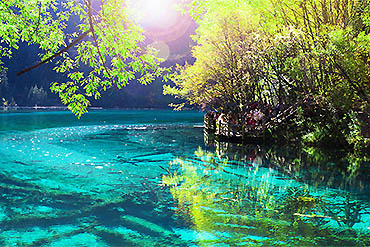 PS-摄图网_322517664_五花湖位于朱海古湖叶子森林游客风景吸引力绿色公园池塘遗产旅游(企业商用)