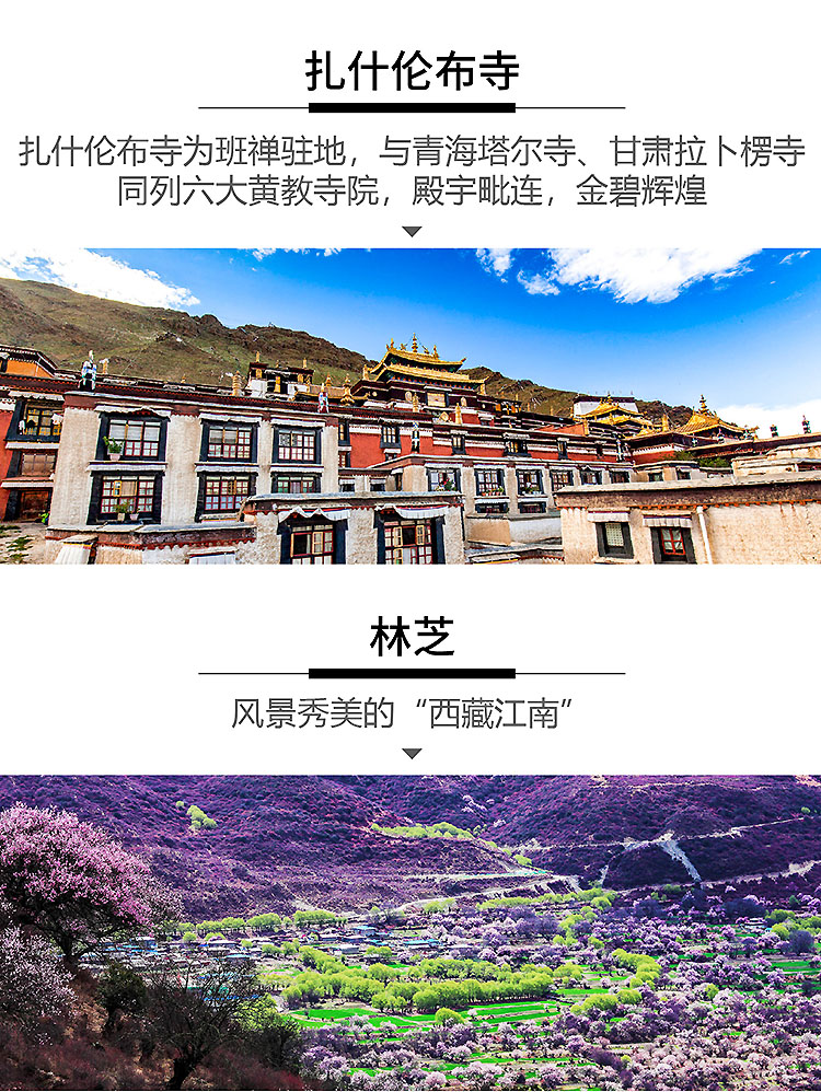 西藏2025-11