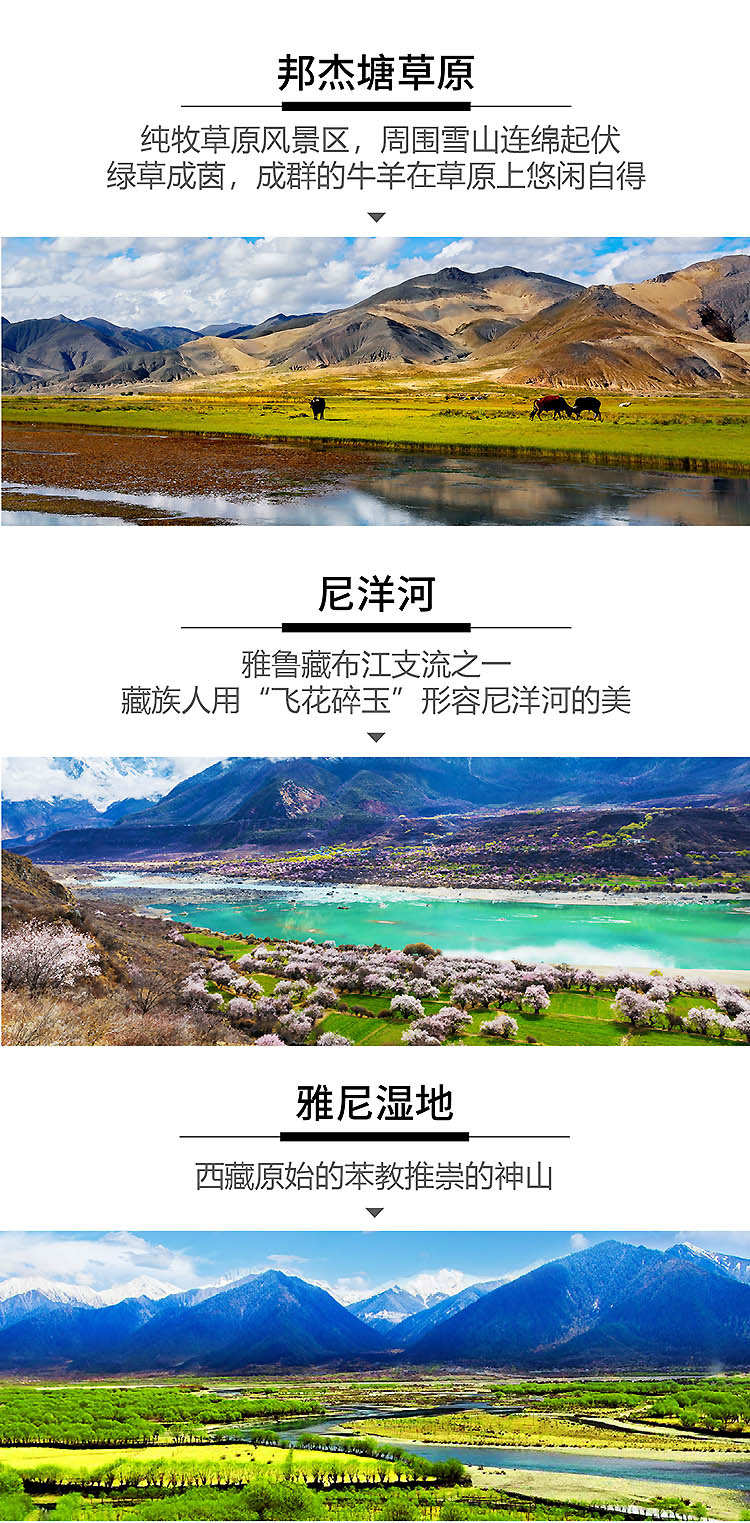 西藏2025-08